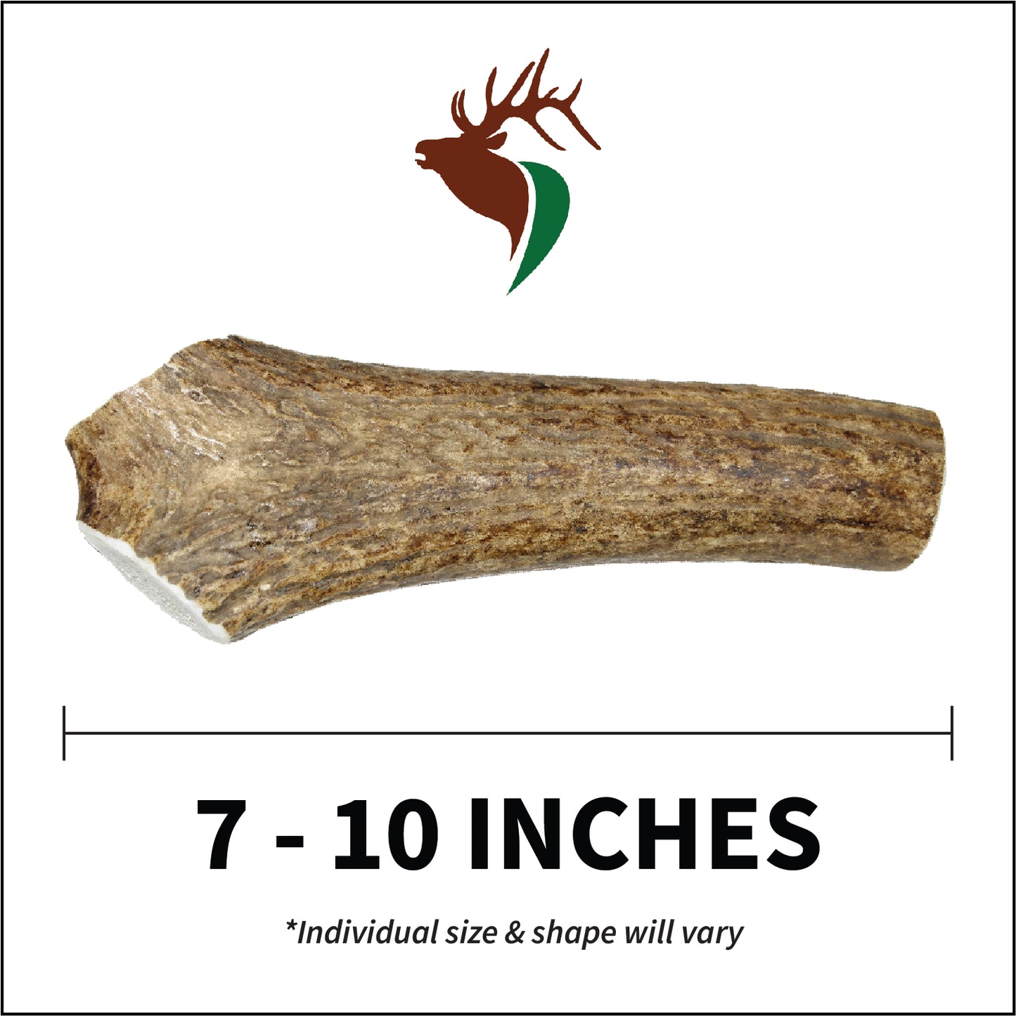 Large Whole Single Pack