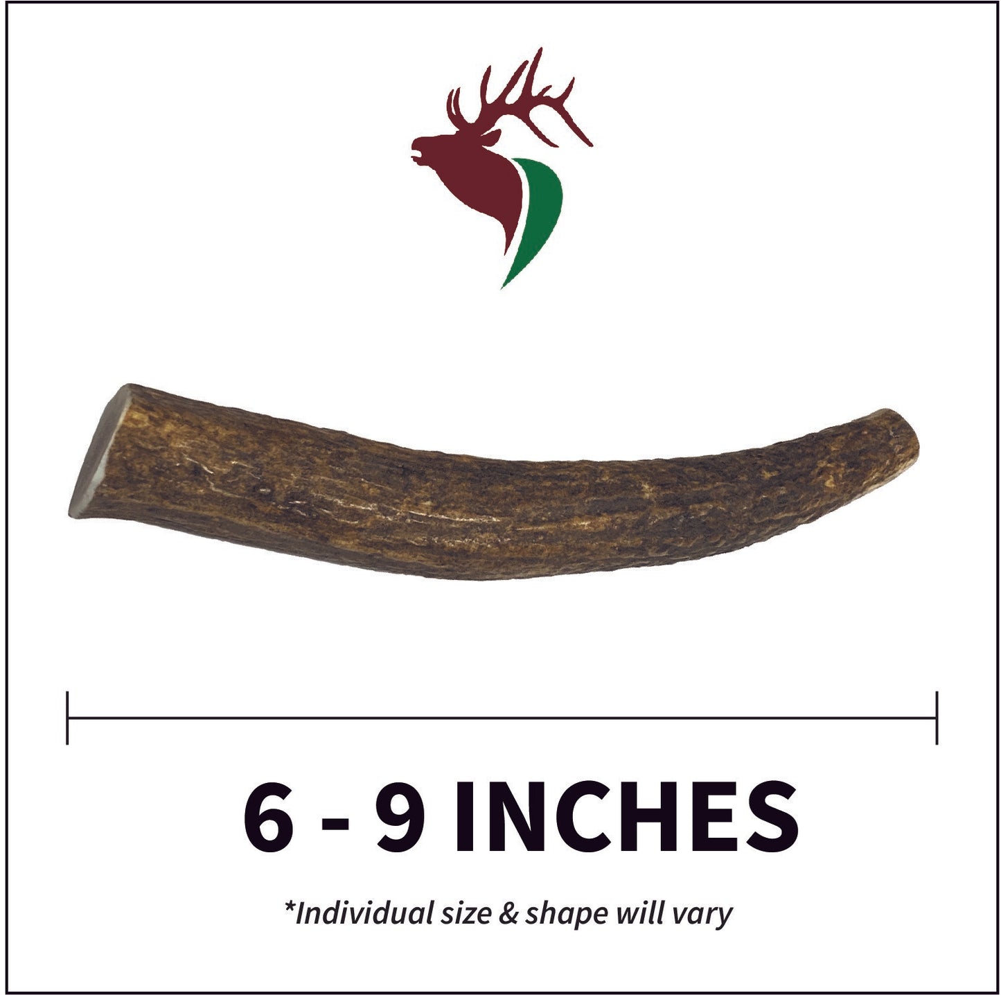 Medium Whole Twin Pack