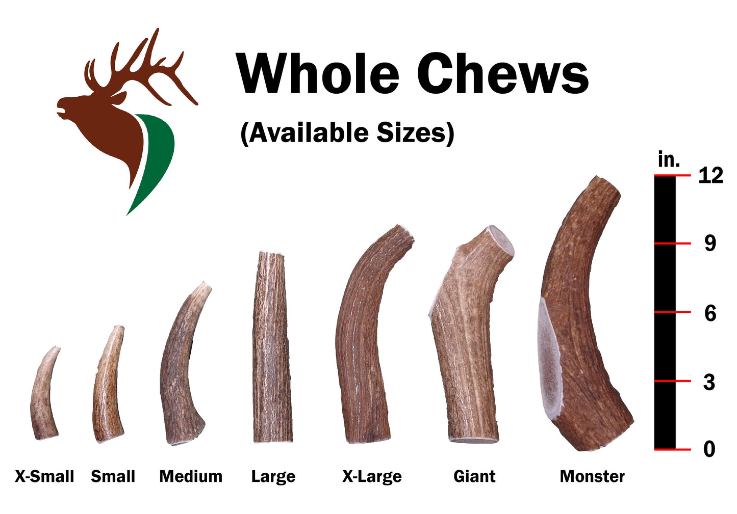 Large Whole Single Pack