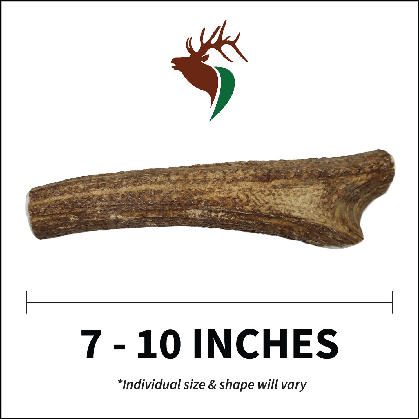 X Large Whole Single Pack