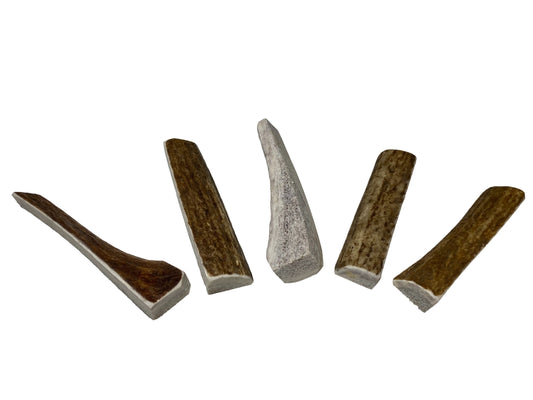 X Small Split 5 Pack